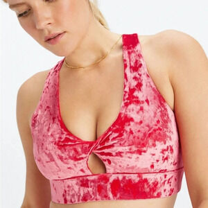 Fabletics Oasis Crushed Velour bra Size small